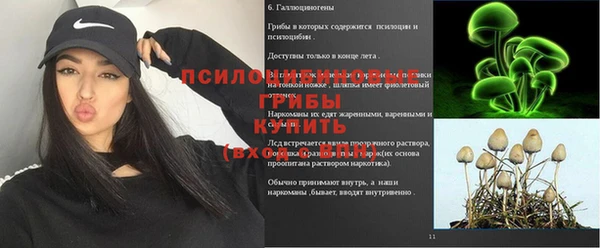 PSILOCYBIN Баксан