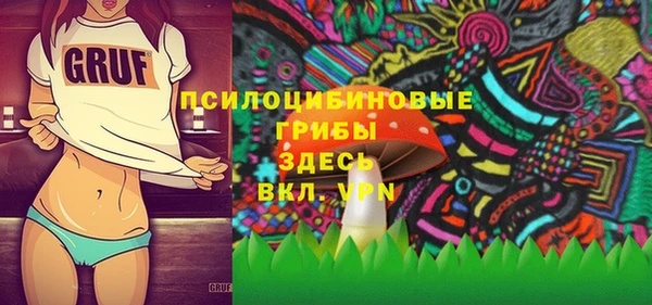 амф Балахна