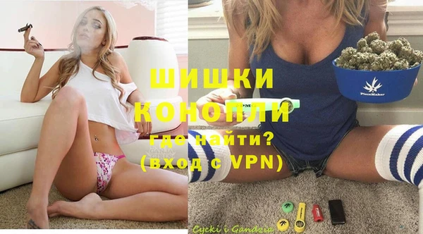 PSILOCYBIN Баксан